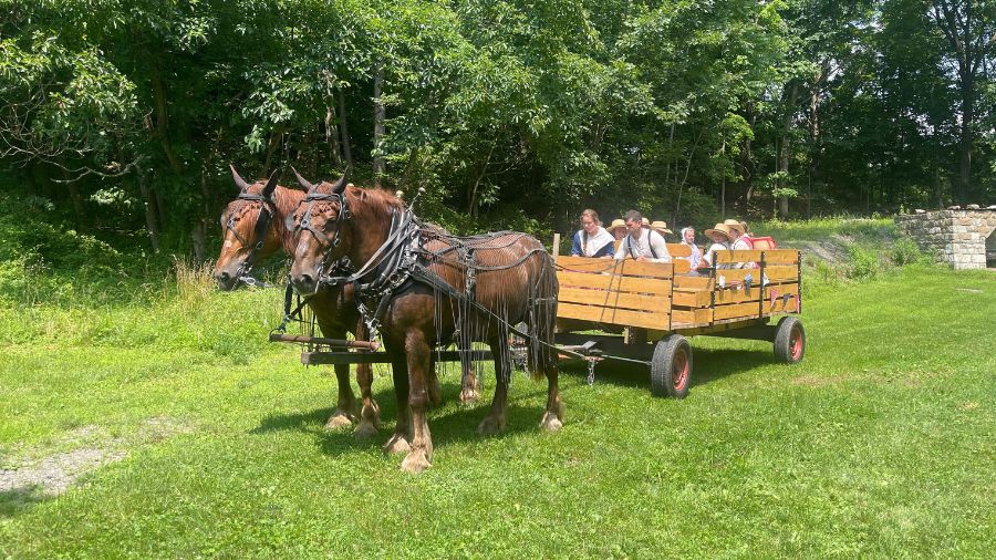 Wagon Rides